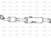 P8299CAT_1.PNG