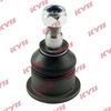 KYB-KBJ4040.JPG