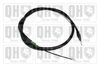 QH_BC3963.JPG