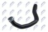 CPP-ME-026_2-WM.JPG