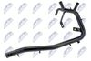 cpp-vw-001_2-wm.JPG