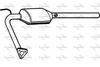 P9536CAT.JPG