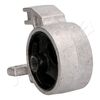 GOM-H207_3.JPG