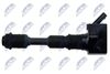 ECZ-VV-006_3-WM.JPG