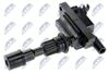 ECZ-MZ-019_2-WM.JPG