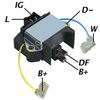 DDF_AMP0956_WR.JPG