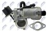 EGR-FR-014_6-WM.JPG