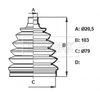 BCB6405_832281.JPG