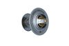 Termostat, chladivo 725214