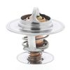 термостат, охладителна течност
