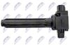 ECZ-MS-025_3-WM.JPG