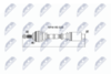 NPW-RE-026_9-WM.PNG