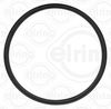 Dichtung, Turbineneinlass (Lader)