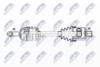 NPW-PL-135_9-WM.PNG