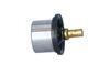Termostat, chladivo 725029