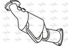 P792DCAT.JPG