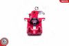 SKV_23SKV114 RED_WM_02.JPG