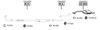DH220240.BMP