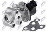 EGR-TY-018_1-WM.JPG