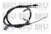 QH_BC4210.JPG