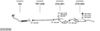 SYS18750.JPG