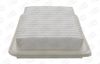 Champion Air Filter CAF101953P