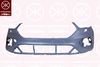 2579904A1.JPG