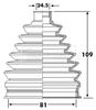 BCB6234_292447.JPG