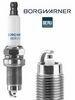 BorgWarner (BERU)