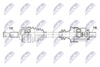 NPW-RE-208_9-WM.PNG