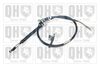 QH_BC3446.JPG