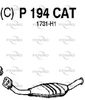 P194CAT.JPG