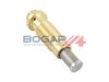 Натягувач, ланцюг приводу BOGAP C1312100 (8409919990)