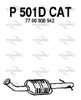 P501DCAT.JPG