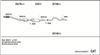MBK004686BC_5233007.JPG