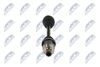 полуоска