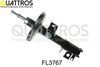 fl3767.JPG