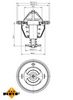 Termostat, chladivo 725174