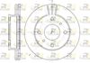 6113-10-MODEL.BMP