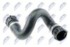 CPP-BM-050_1-WM.JPG
