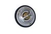 Termostat, chladivo 725216