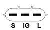 C77.JPG