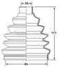 BCB6205_292419.JPG