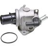 VE80202.JPG