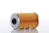 220110AX.JPG