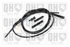 QH_QTC5006.JPG