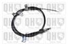 QH_BC3986.JPG