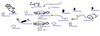 OP-EXSFO788_20260529081842.JPG