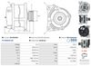 A01256(SEG)_256960.JPG