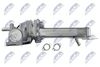 egr-vw-023_6-wm.JPG